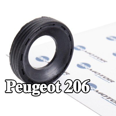 DR.MOTOR AUTOMOTIVE حلقة مانعة للتسرب، عمود الحاقن — Peugeot 206