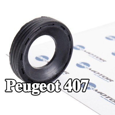 DR.MOTOR AUTOMOTIVE حلقة مانعة للتسرب، عمود الحاقن — 2004 Peugeot 407