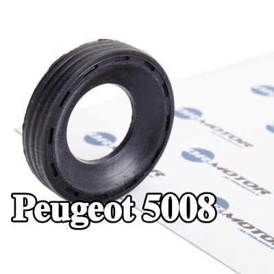 DR.MOTOR AUTOMOTIVE حلقة مانعة للتسرب، عمود الحاقن — 2012 Peugeot 5008