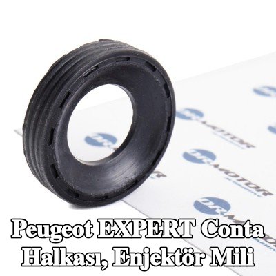 DR.MOTOR AUTOMOTIVE Conta halkası, enjektör mili — Peugeot Expert