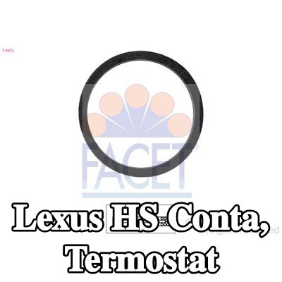 FACET Conta, termostat İtalya'da üretilmiştir - OE Eşdeğeri — Lexus Hs