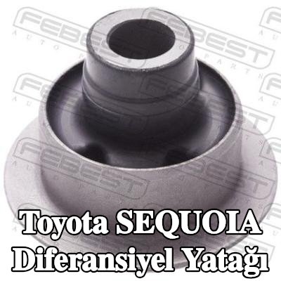 FEBEST Diferansiyel yatağı Ön Aks Sağ — Toyota Sequoia