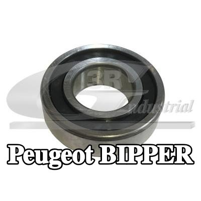 3RG محمل ناقل الحركة اليدوي — Peugeot Bipper