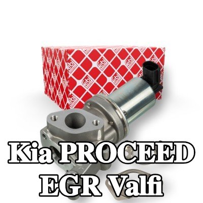 FEBI BILSTEIN Contalı/sızdırmazlık elemanlı EGR valfi — 2016 Kia Proceed