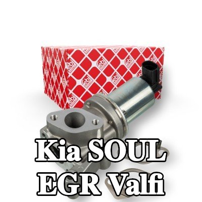 FEBI BILSTEIN Contalı/sızdırmazlık elemanlı EGR valfi — 2012 Kia Soul