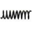 SACHS Helezon yay — 2002 Mercedes-Benz C-Class (4)