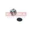 KAMOKA Alternatör debriyaj kasnağı — Mitsubishi Space Wagon (2)