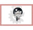 ESEN SKV Hidrolik direksiyon pompası — Nissan Kubistar (6)