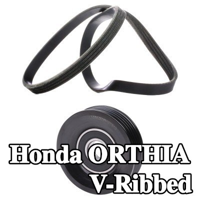 RIDEX مجموعة أحزمة V-Ribbed — Honda Orthia