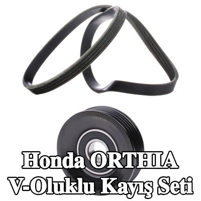 RIDEX V-Oluklu Kayış Seti — Honda Orthia