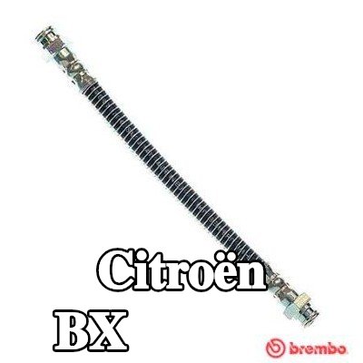 BREMBO خرطوم الفرامل الأساسي, 222mm — 1990 Citroën Bx