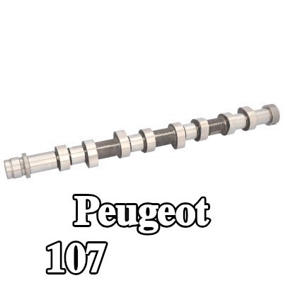 FEBI BILSTEIN عمود الكامات — Peugeot 107