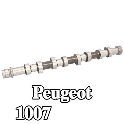 FEBI BILSTEIN عمود الكامات — Peugeot 1007