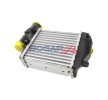 BOGAP Intercooler — 2003 Audi A8 (3)
