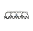 DT Spare Parts Kafa contası — Mercedes-Benz Vario (1)