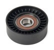 RIDEX Saptırma / kılavuz kasnağı, V-ribbed belt Outer Diameter: 70mm — Audi R8 (4)