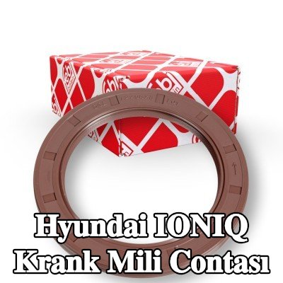 FEBI BILSTEIN FPM (florlu kauçuk) krank mili contası — Hyundai Ioniq
