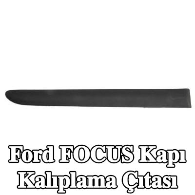 BLIC Kapı kalıplama çıtası — 2005 Ford Focus