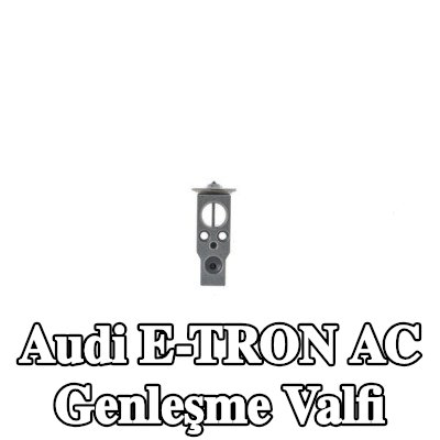 MAHLE AC genleşme valfi — 2018 Audi E-tron