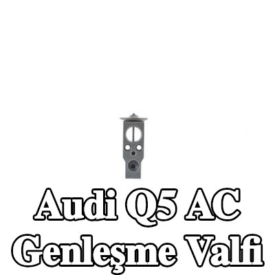 MAHLE AC genleşme valfi — Audi Q5