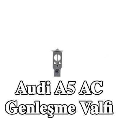 MAHLE AC genleşme valfi — Audi A5