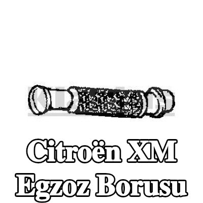 VEGAZ Egzoz Borusu — Citroën Xm