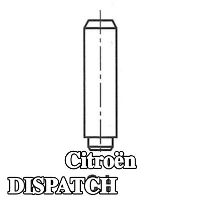 FRECCIA أدلة الصمامات — 1997 Citroën Dispatch