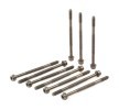 ELRING Cıvata Kiti, silindir kafası M11x1, 5x175 — Citroën Bx (2)