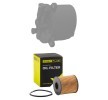 RIDEX PLUS Filtre kiti — Citroën C6 (3)