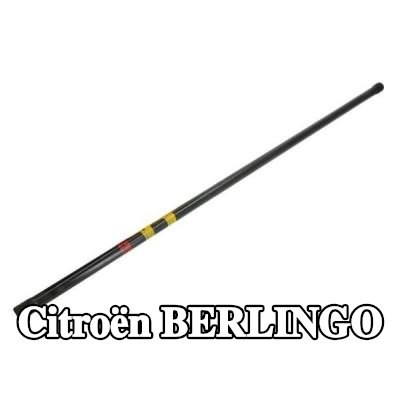 REINHOCH دعامة تعليق متقاطعة — Citroën Berlingo