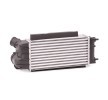 RIDEX Intercooler — 2012 Ford Fiesta (3)