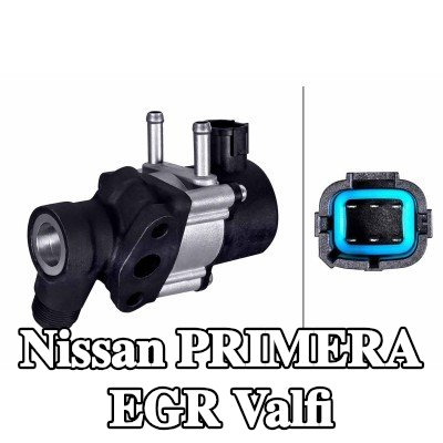 HELLA Contalı/sızdırmazlık elemanlı EGR valfi — 2002 Nissan Primera