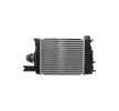 HELLA Intercooler — Renault Duster (4)