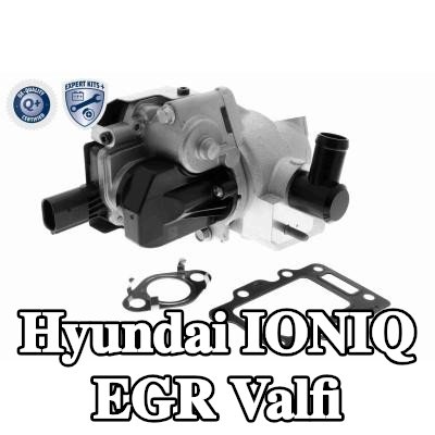 ACKOJA Contalı/sızdırmazlık elemanlı EGR valfi, EGR soğutucusuz — Hyundai Ioniq