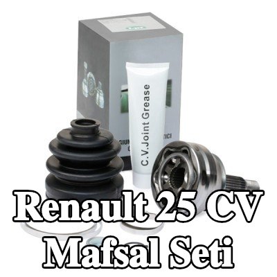 LPR CV Mafsal Seti — Renault 25