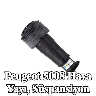 BILSTEIN Hava Yayı, süspansiyon Arka aks — Peugeot 5008