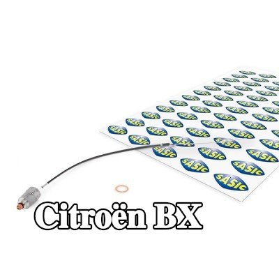 SEIM صمام التحكم في الهواء أثناء التباطؤ — Citroën Bx