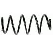 SACHS Helezon yay — Volkswagen Jetta (3)
