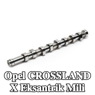 FEBI BILSTEIN Eksantrik Mili — Opel Crossland X