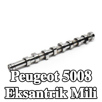 FEBI BILSTEIN Eksantrik Mili — Peugeot 5008