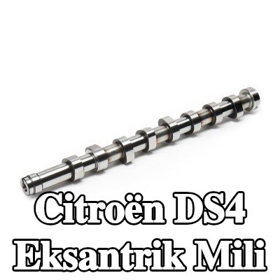 FEBI BILSTEIN Eksantrik Mili — Citroën Ds4