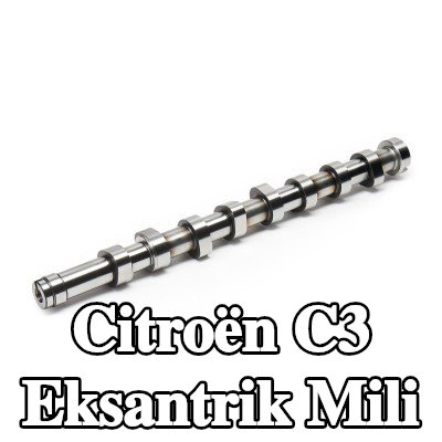 FEBI BILSTEIN Eksantrik Mili — Citroën C3