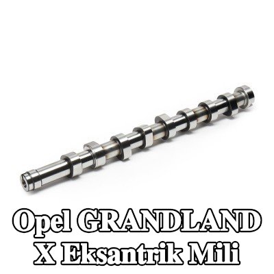 FEBI BILSTEIN Eksantrik Mili — 2017 Opel Grandland X