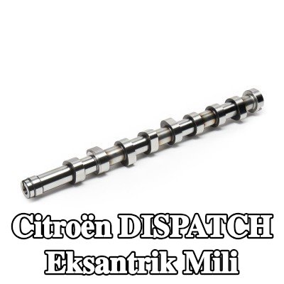 FEBI BILSTEIN Eksantrik Mili — 2012 Citroën Dispatch
