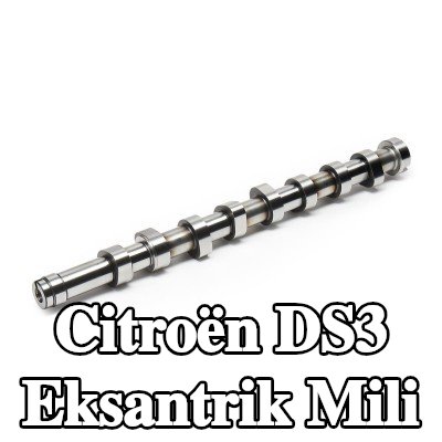 FEBI BILSTEIN Eksantrik Mili — Citroën Ds3