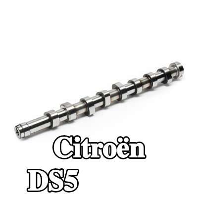 FEBI BILSTEIN عمود الكامات — Citroën Ds5