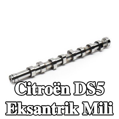 FEBI BILSTEIN Eksantrik Mili — Citroën Ds5
