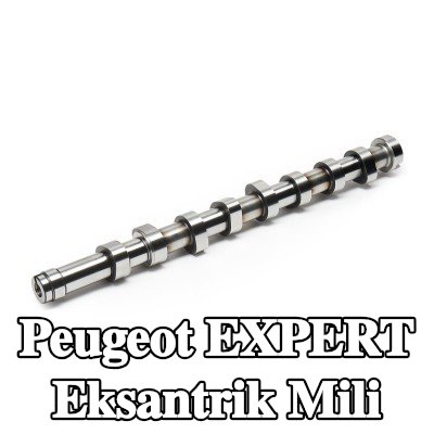 FEBI BILSTEIN Eksantrik Mili — Peugeot Expert