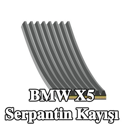 FEBI BILSTEIN Serpantin kayışı 1122mm, Number of ribs: 8 — BMW X5