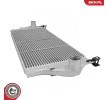 ESEN SKV Intercooler — 2002 Renault Espace (6)